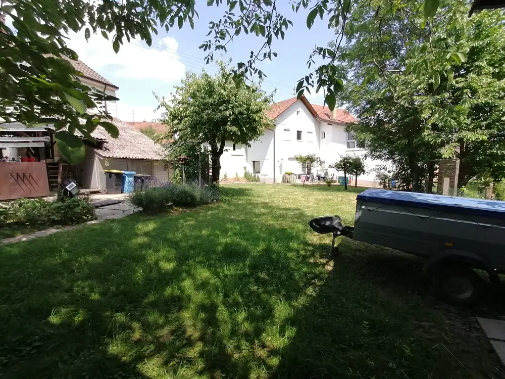 Garten hinter dem Haus
