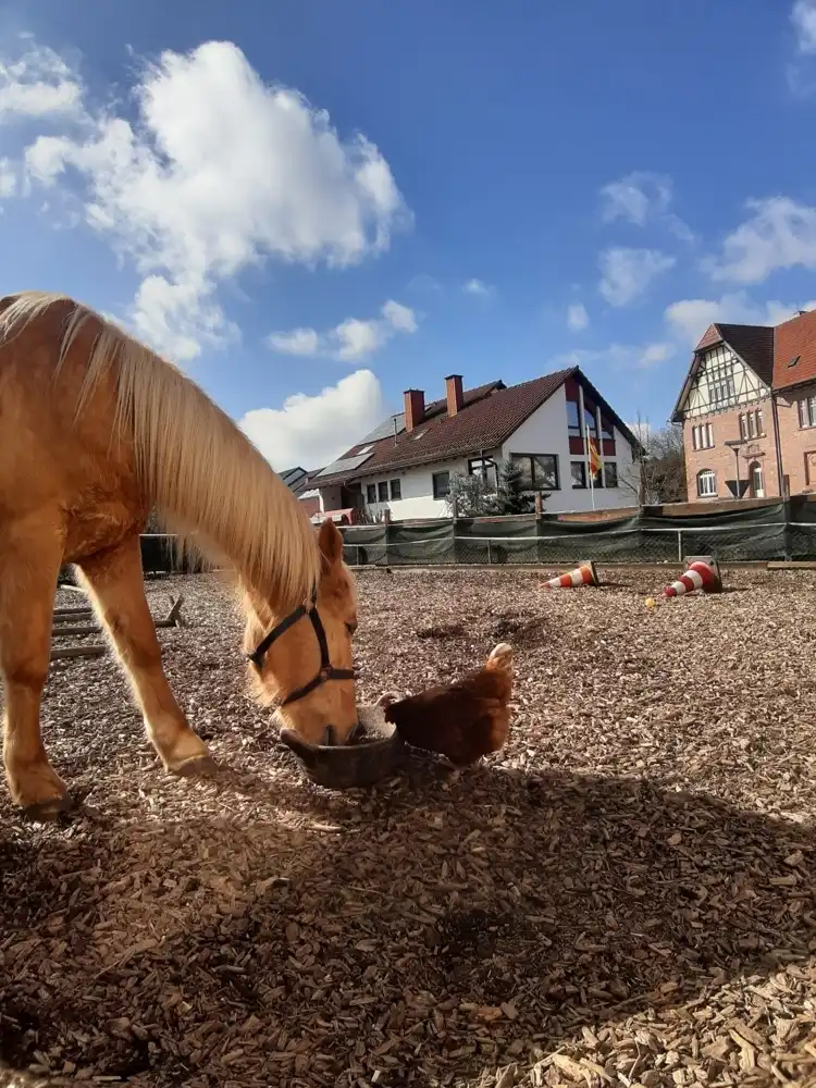 20260112_EFH-Schoenbrunn-2